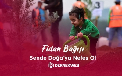 Fidan Bagışı